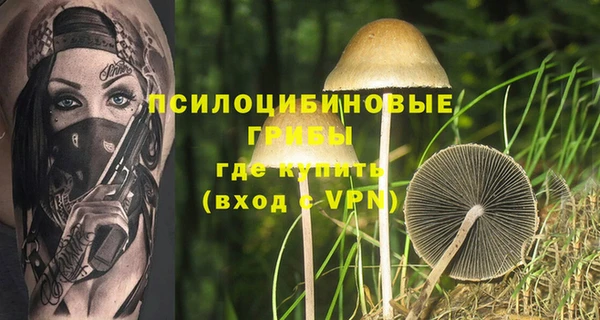 молекула духа Балахна