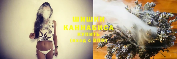 молекула духа Балахна